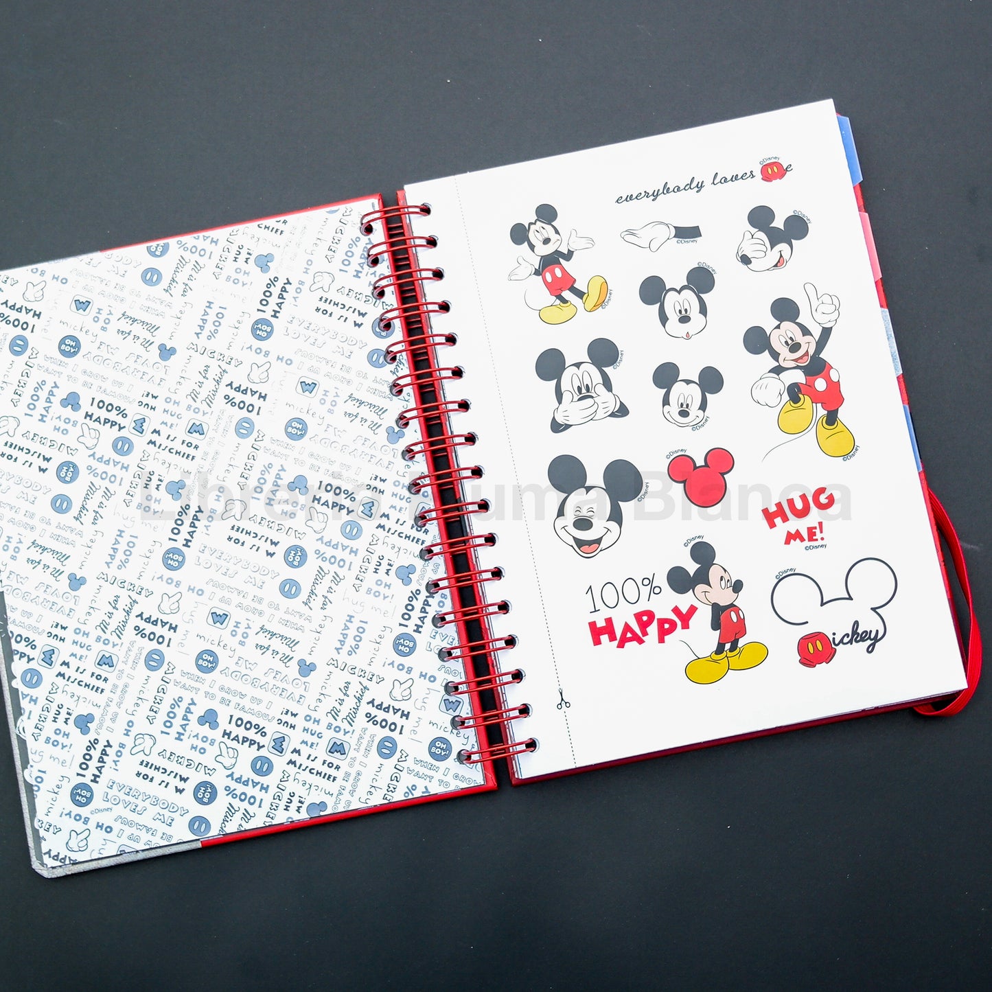 Agenda Planner Mickey Mouse Disney con Caja