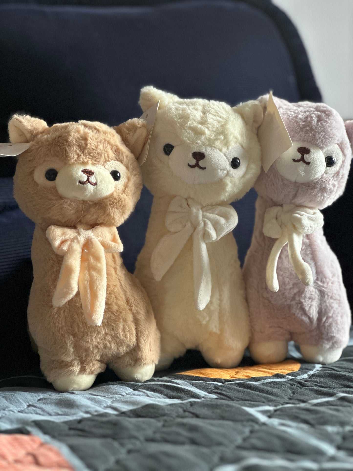 Llamitas