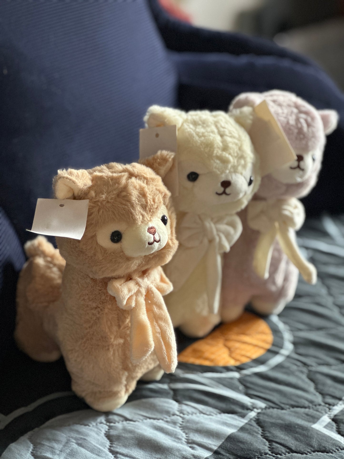 Llamitas