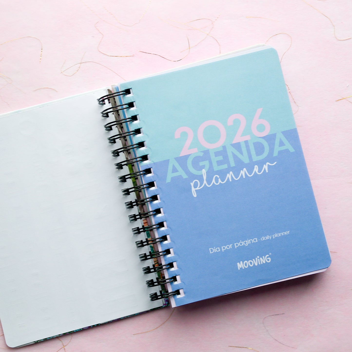 🌍✨ Agenda Mooving Travel 2026 ✨🌍